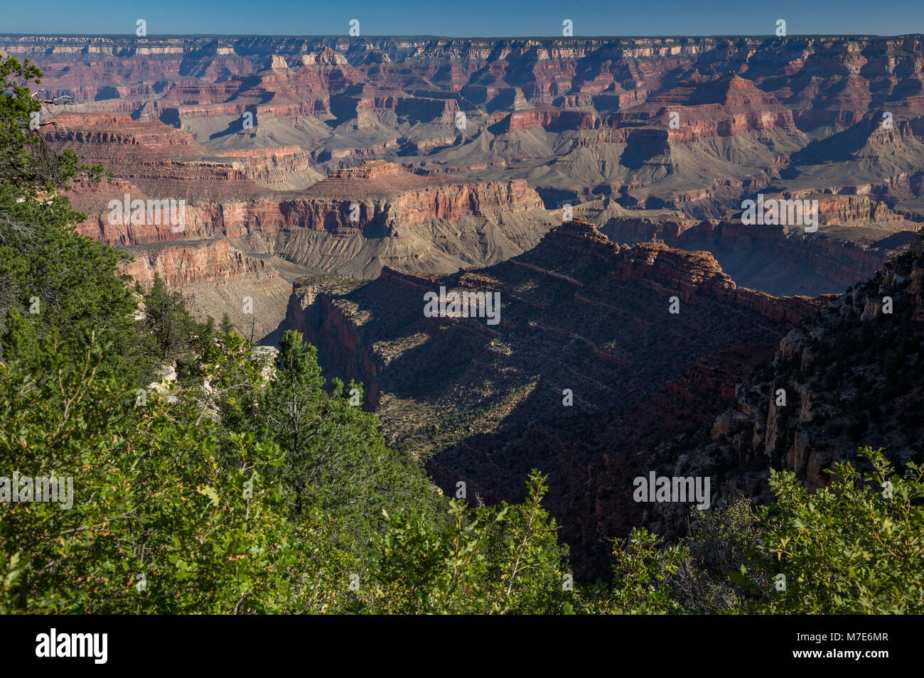 Grand Canyon dal Desert View Drive, Arizona, Stati Uniti d'America Foto Stock