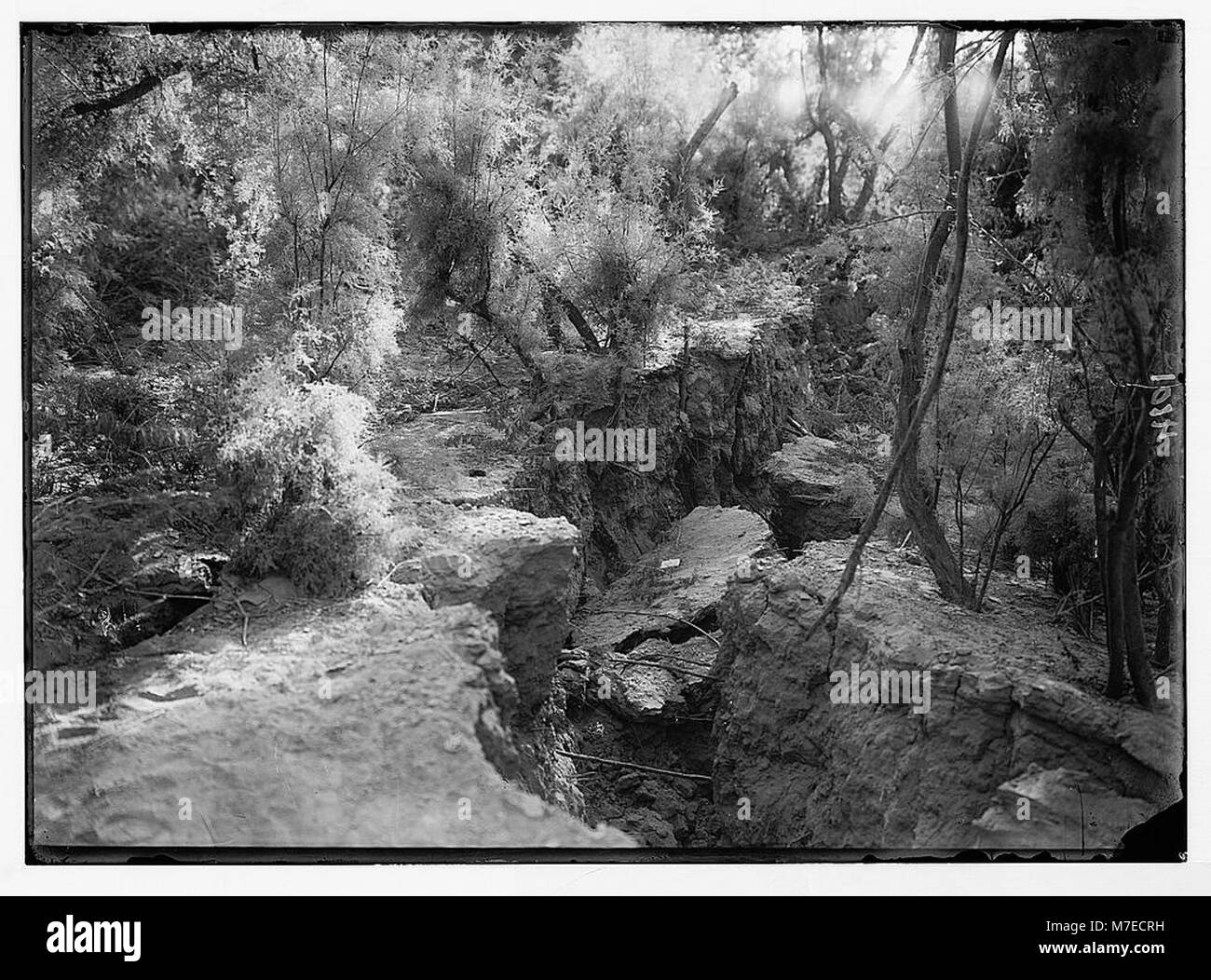 Questa immagine raffigura le conseguenze del terremoto in Palestina dell'11 luglio 1927. Mostra le significative spaccature formatesi lungo le rive del fiume Giordano, evidenziando la distruzione causata dal terremoto. Foto Stock