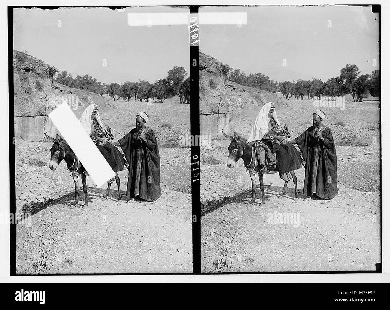 'Fuga in Egitto.' tipi contadina. Donna e bambino su Donkey. Man Standing LOC matpc.04163 Foto Stock