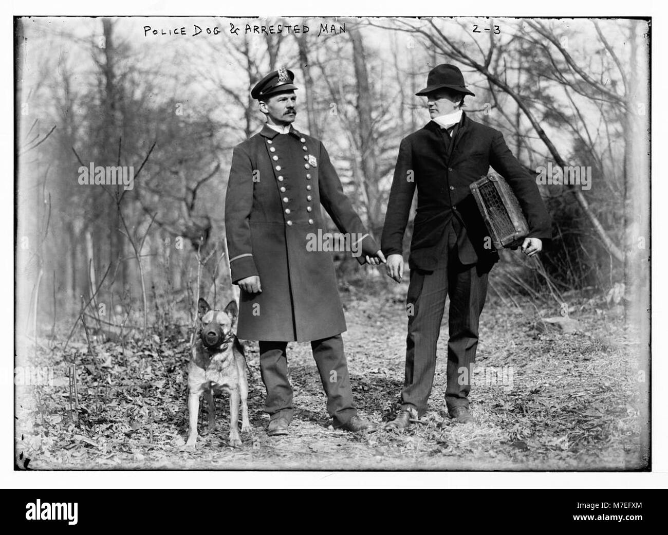 Questa immagine raffigura una scena di New York City, che mostra un agente di polizia con cani della polizia che arrestano un ladro. Mette in evidenza il ruolo delle unità canine nelle forze dell'ordine durante un inseguimento o una cattura criminale. Foto Stock
