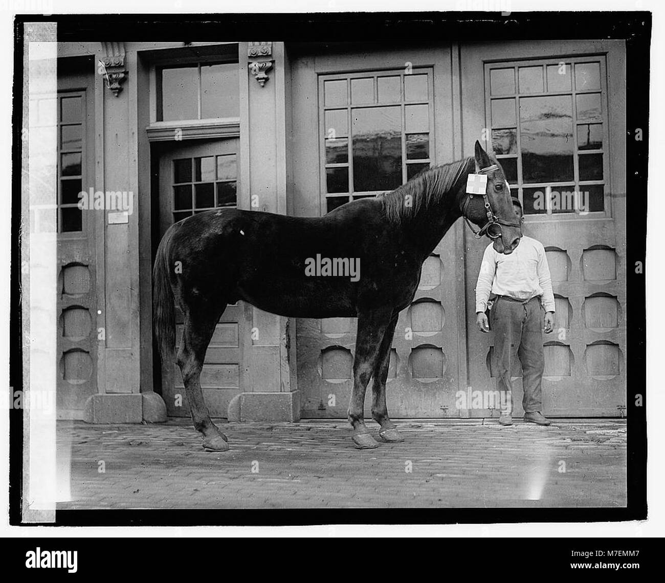 Una fotografia che documenta una storia della Croce Rossa del 20 novembre 2020, che illustra gli sforzi umanitari dell'organizzazione e la risposta alle crisi. Foto Stock