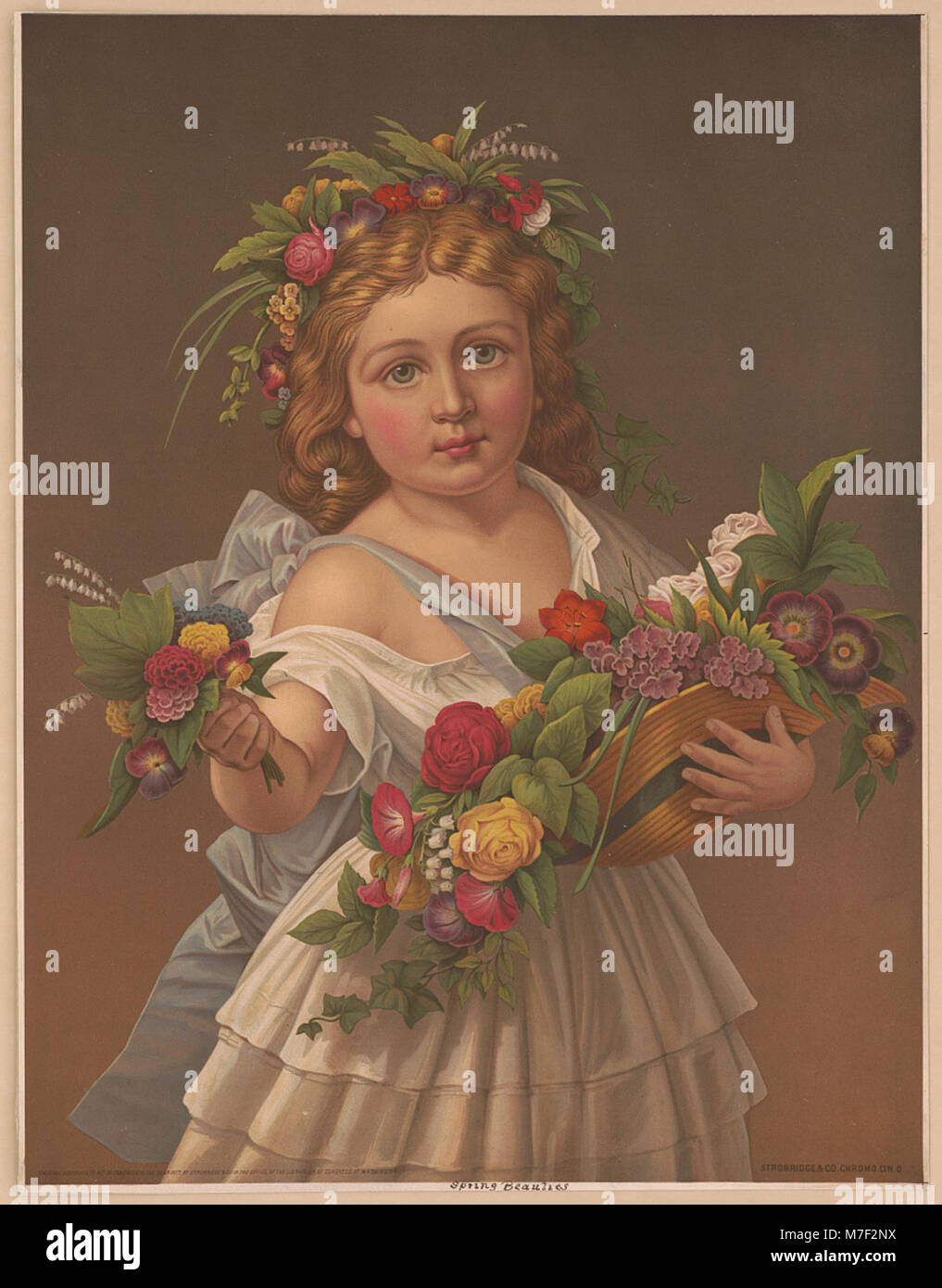 Questa immagine presenta un insieme di bellezze primaverili, delicati fiori selvatici comunemente presenti in Nord America durante la stagione primaverile. Sono un simbolo del cambiamento stagionale e della diversità floreale. Foto Stock