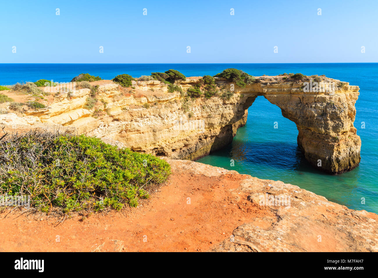 Piante verdi a picco sul mare e vista di arco di roccia sul mare nei pressi di Armacao de Pera comune, Algarve, PORTOGALLO Foto Stock