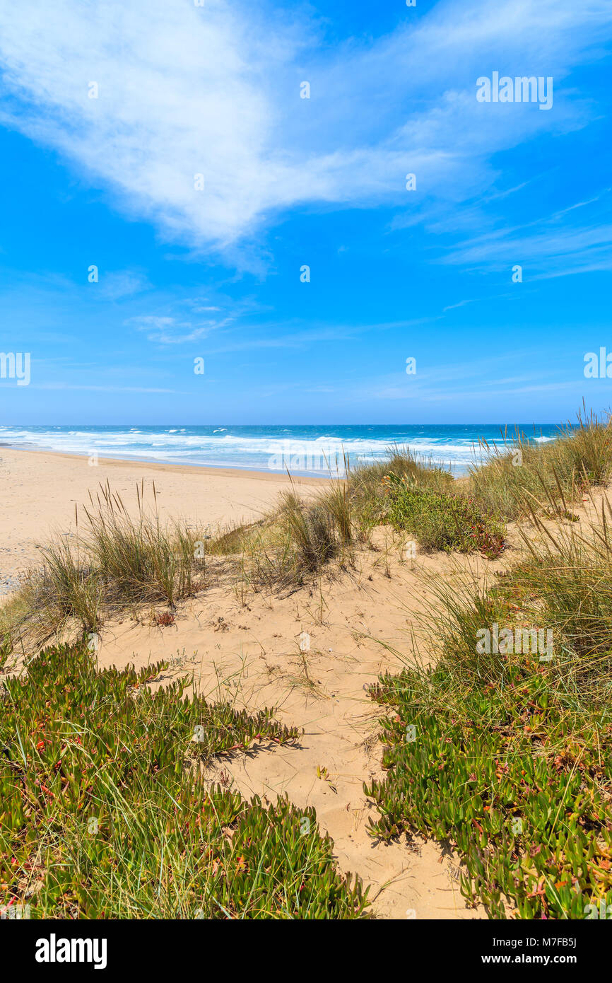 Una vista di Castelejo sabbiosa spiaggia di dune di sabbia, luogo famoso per il surf, la regione di Algarve, PORTOGALLO Foto Stock