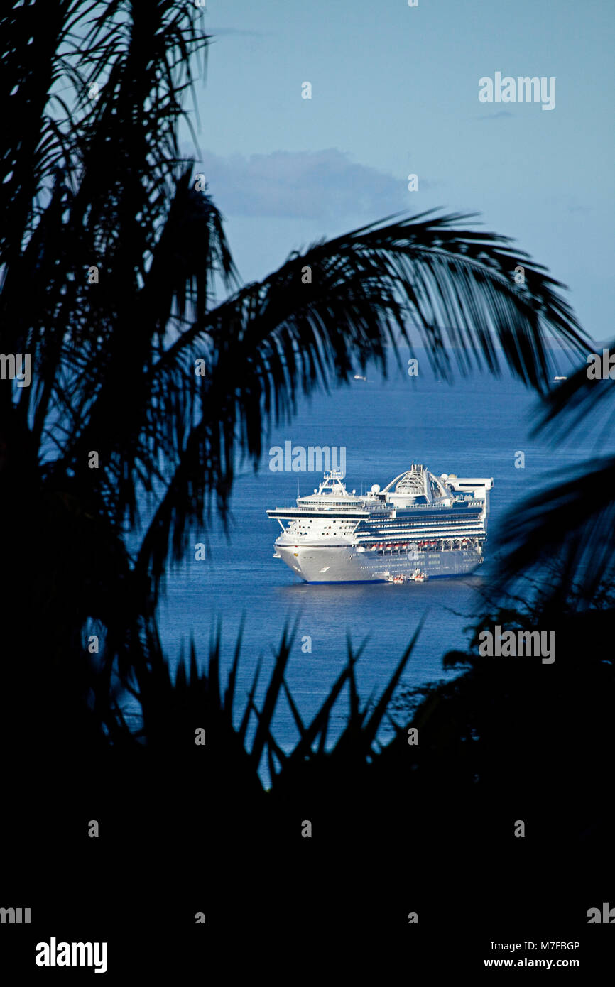 Una vista attraverso foglie di palmo di Norwegian Cruise Line, il Golden Princess, al di ancoraggio nella parte anteriore di Lahaina, Maui, Hawaii. Foto Stock