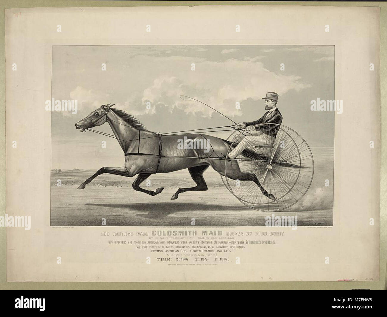 Questa immagine cattura il famoso marinaio trotting Goldsmith Maid in azione, guidato da Budd Doble. Era uno dei cavalli da corsa più celebri del XIX secolo. Foto Stock