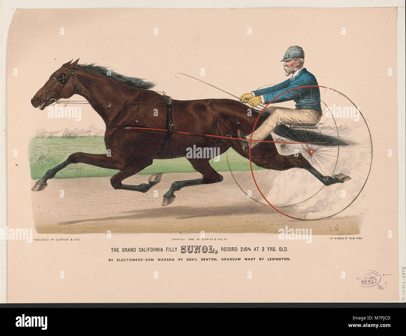 Il grande California Filly Sunol, un cavallo da corsa con un record di 2-10 1/2 anni a 3 anni, costruito da Electioneer e fuori da Waxana dal Gen'l Benton, con un lignaggio impressionante. Foto Stock