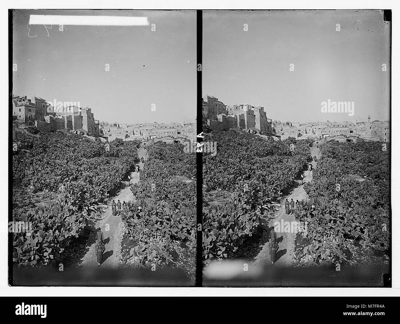 Varie viste all'interno della città (Gerusalemme). Valle Tyropeon alla porta del Letame. LOC matpc.05058 Foto Stock