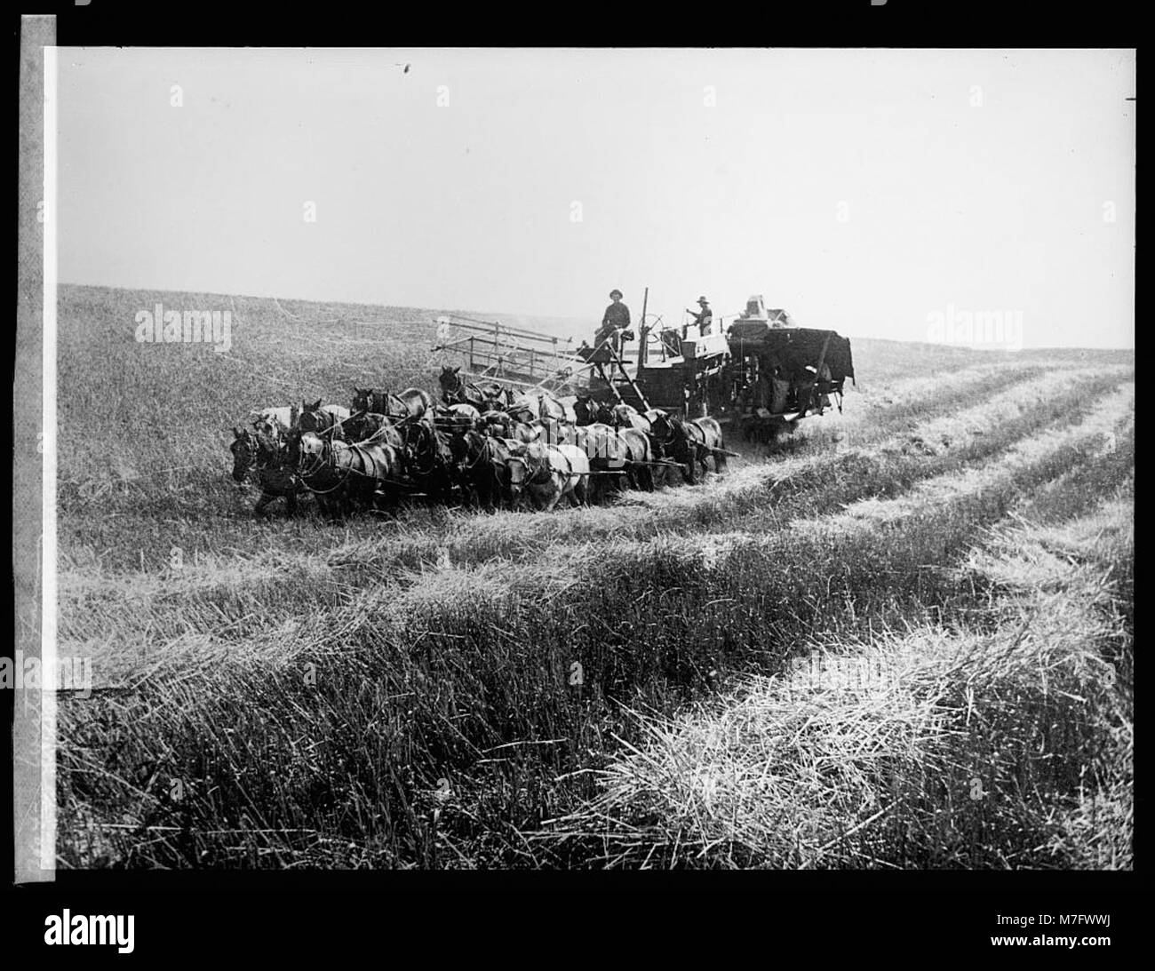 Le pratiche agricole occidentali negli Stati Uniti, in particolare nel XIX e all'inizio del XX secolo, si concentrano sull'evoluzione dei metodi agricoli e della vita rurale. Foto Stock