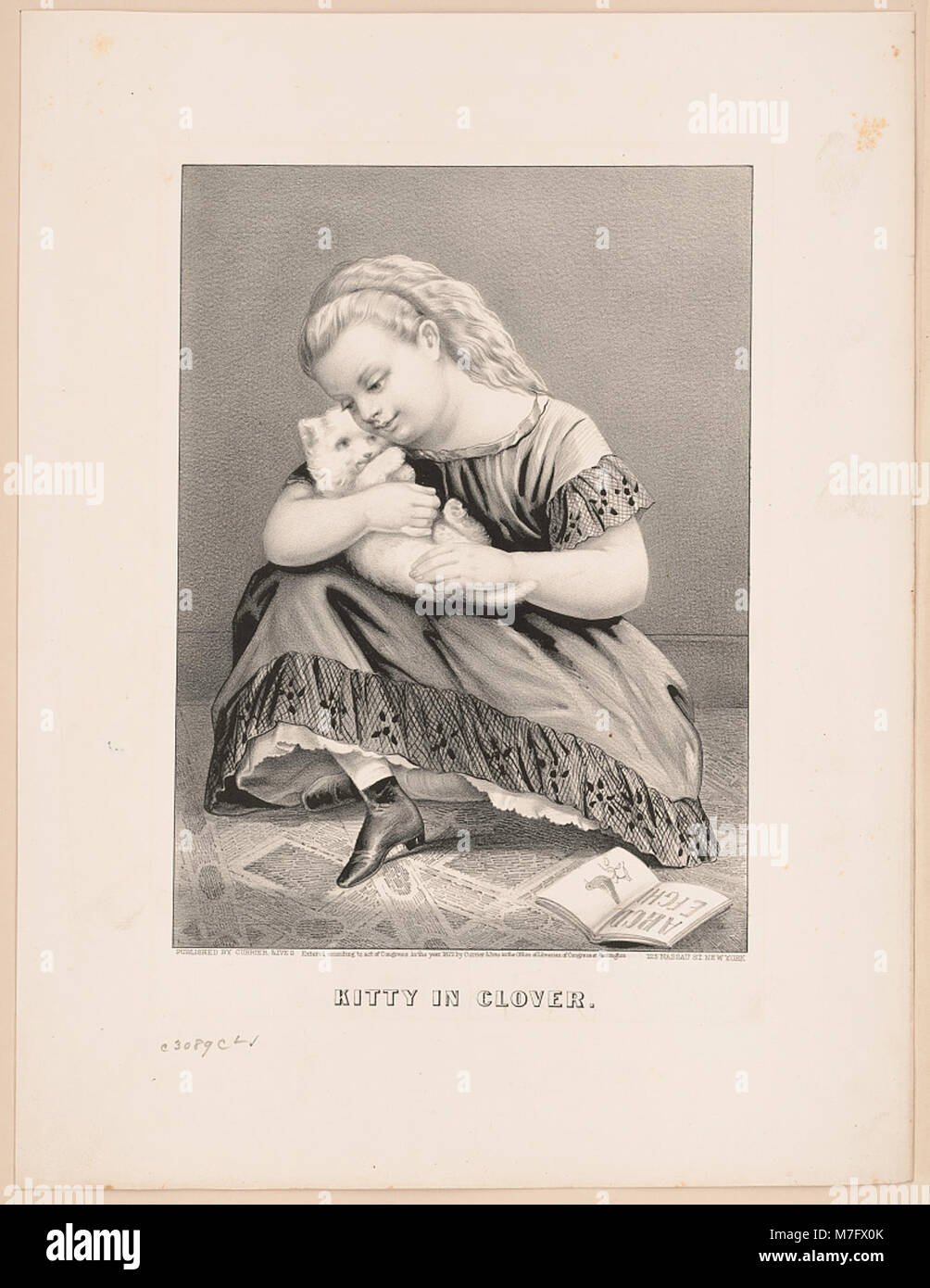 Un'immagine giocosa di un gatto in un campo di trifoglio, che mostra una scena naturale spensierata. Foto Stock