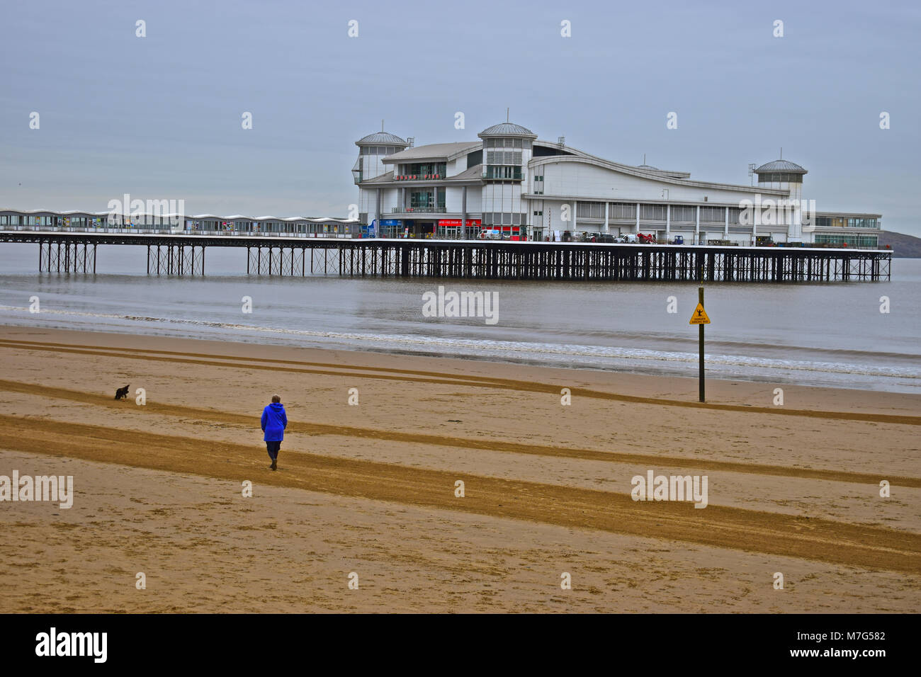Un lone lady a piedi il suo cane lungo la spiaggia dal Grand Pier a Weston-super-Mare in inverno Foto Stock