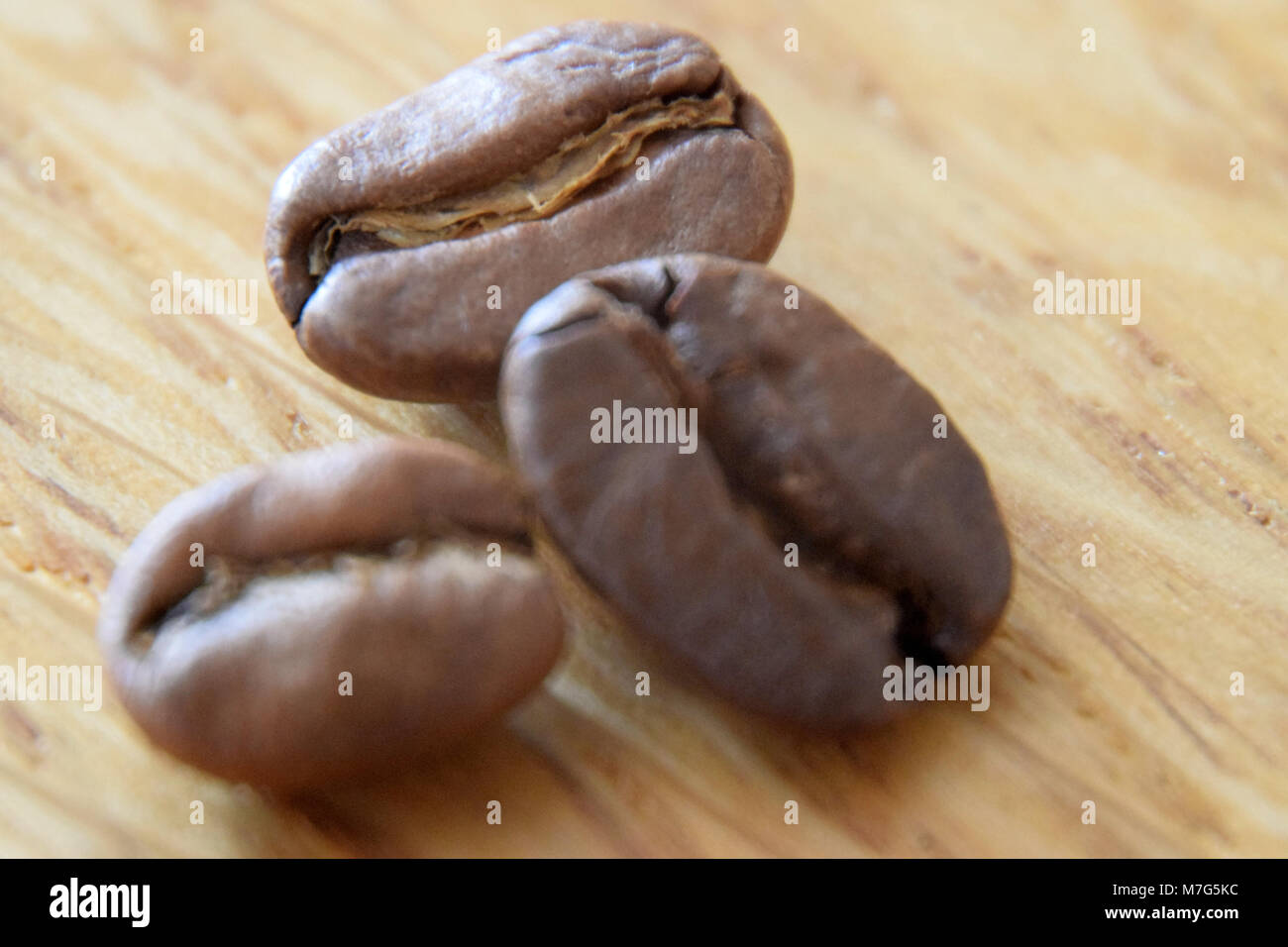 I chicchi di caffè in alta ottica chiave Foto Stock