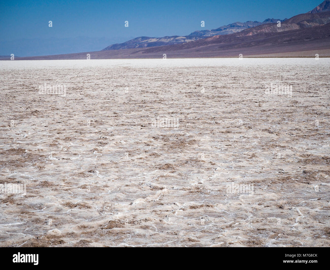 Distesa di sale al bacino Badwater al Parco Nazionale della Valle della Morte, con 282 piedi (86 m) sotto il livello del mare nel punto più basso negli Stati Uniti. Foto Stock
