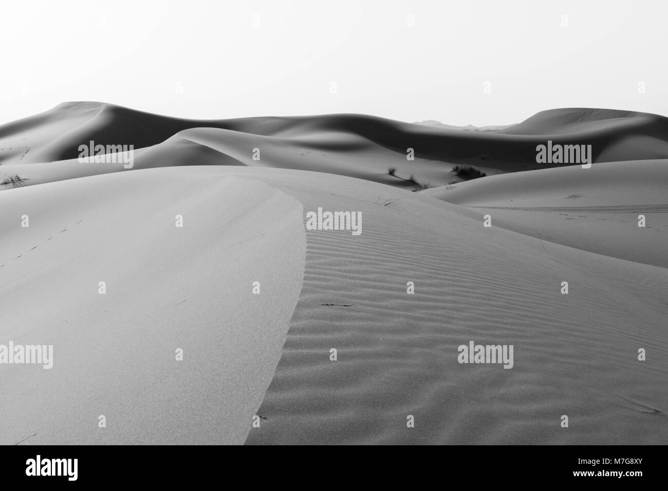 Deserto Foto Stock