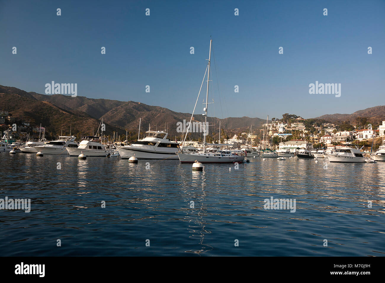 In un giorno di estate, barche riempire Avalon Harbour sulla isola Catalina off California, Stati Uniti d'America. Foto Stock