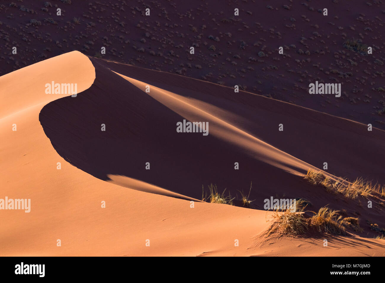 Sossuvlei dune di sabbia Foto Stock