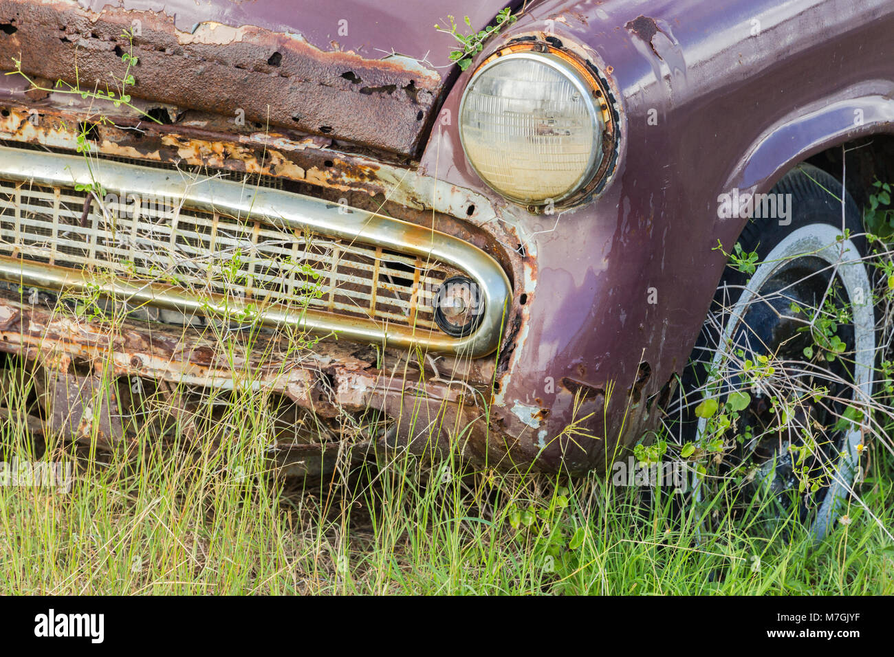 Vista frontale di un auto abbandonate in un campo di erba, Bonaire. Foto Stock