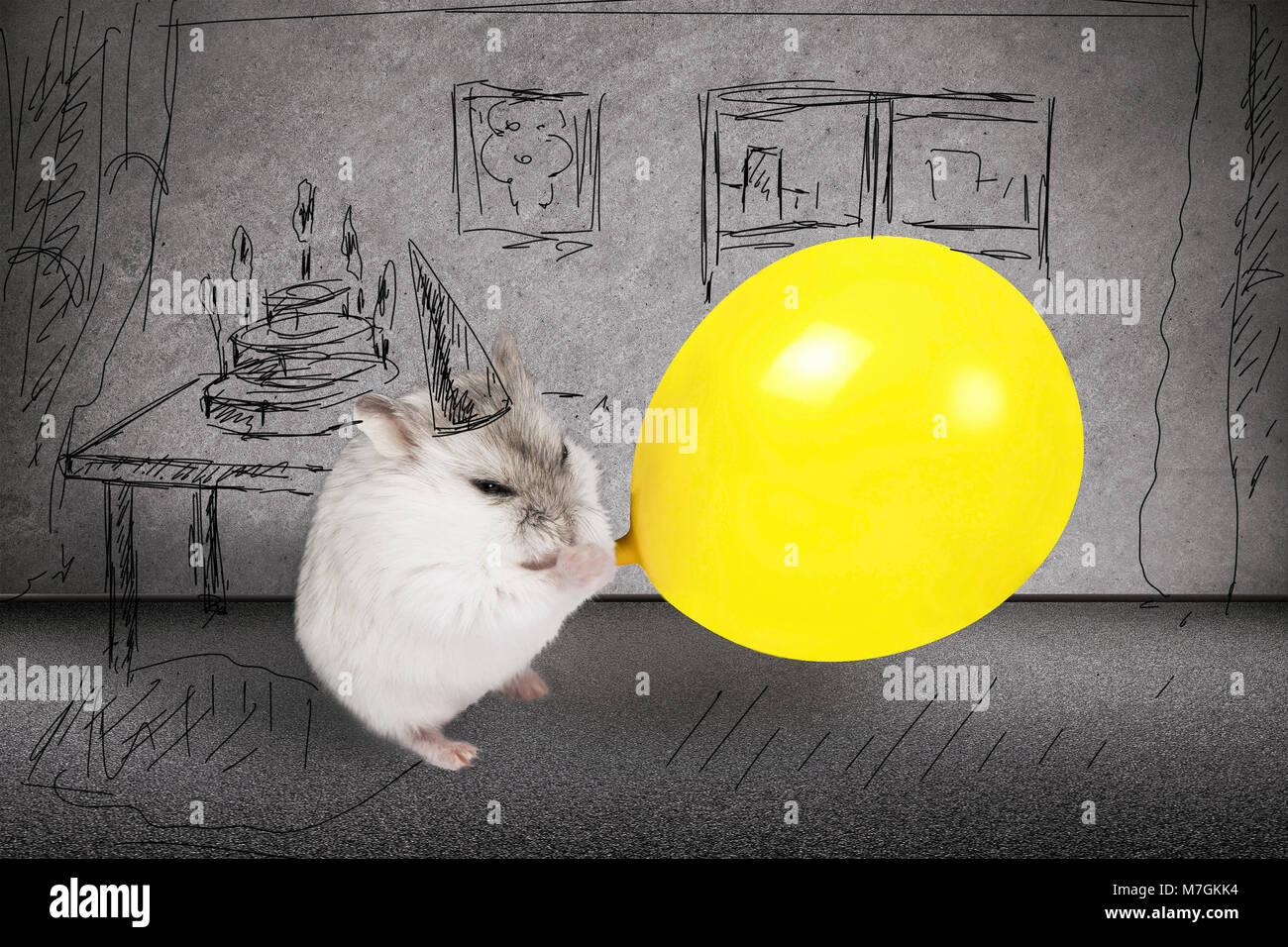 Hamster gonfia un palloncino giallo, sullo sfondo della sua camera dipinta accanto ad una tavola sulla quale una torta, un concetto di una vacanza, un compleanno Foto Stock