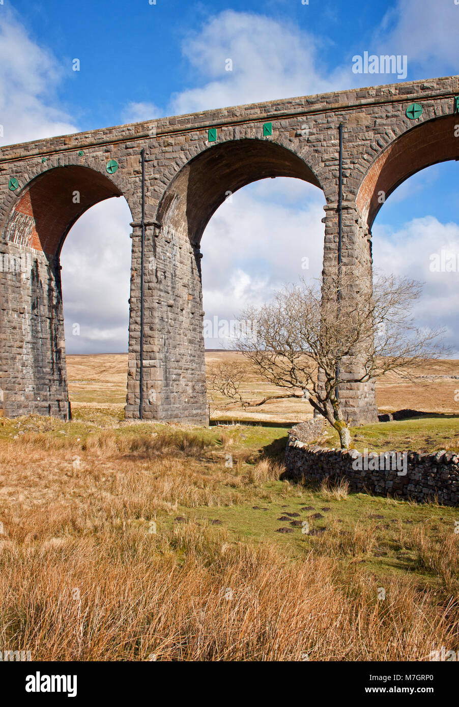 Gli archi del viadotto Ribblehead spanning campi sopra Ingleton, North Yorks Foto Stock