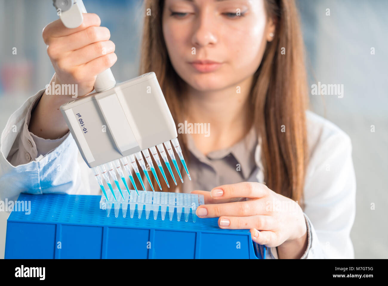 Studente donna con pipetta multipla e di altri elementi di PCR in / microbiologico laboratorio di genetica Foto Stock