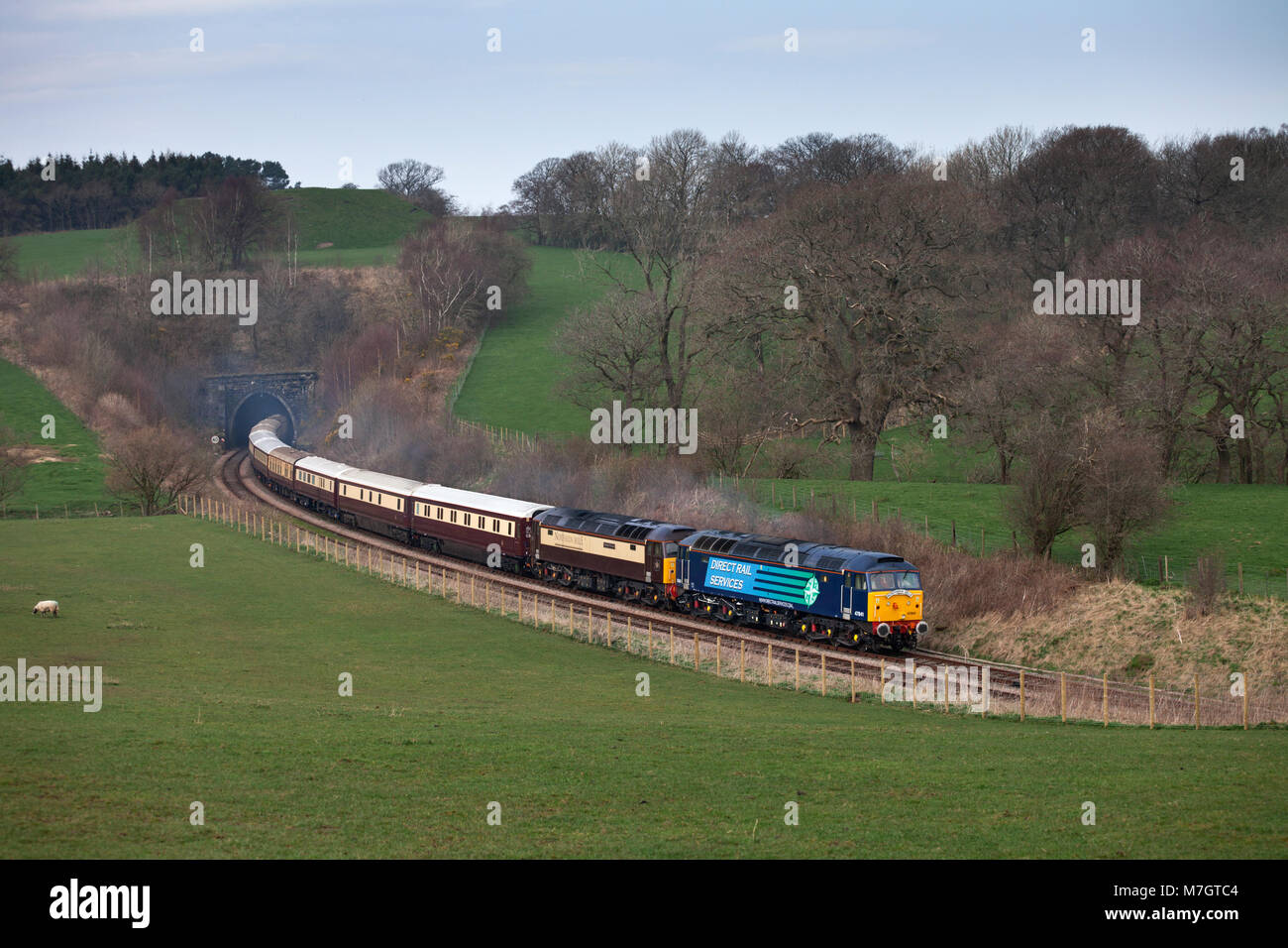 Il Northern Belle cene di lusso treno esce dal tunnel Melling Lancashire trainati da Direct rail Services class 47 locomotive Foto Stock