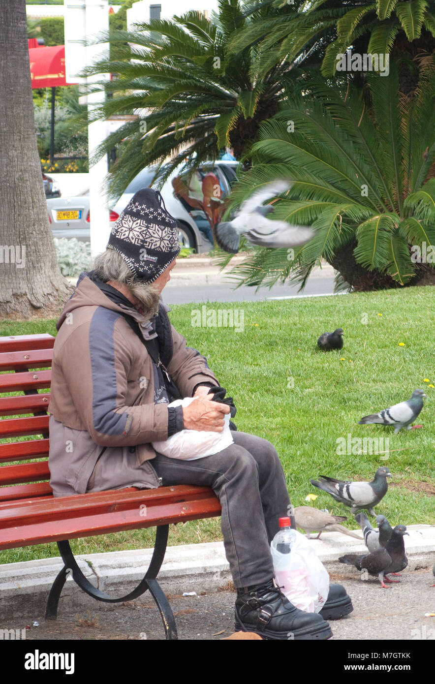 Poveri senzatetto persona seduta su una panchina un alimenta i piccioni, Boulevard de la Croisette, Cannes, Costa Azzurra, Francia del Sud, Francia, Europa Foto Stock