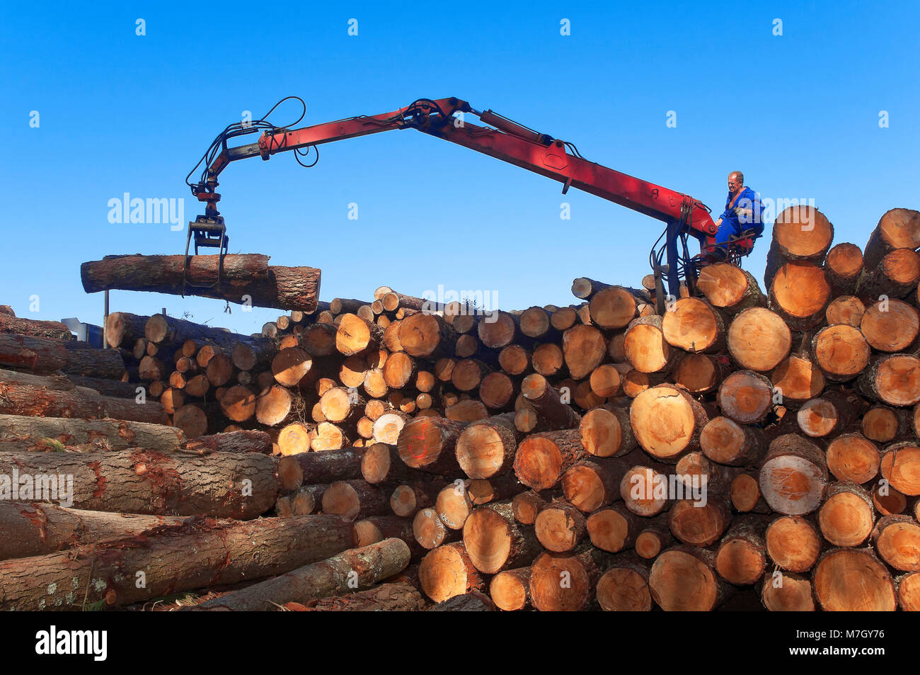 Industria del legno, Morpeguite, Muxia, La Coruña provincia, regione della Galizia, Spagna, Europa Foto Stock