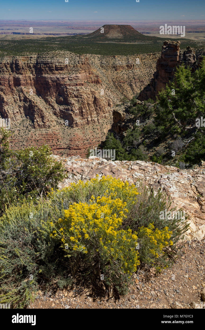 Guardando a nord-ovest dalla vista del deserto, del Grand Canyon South Rim, Arizona, Stati Uniti d'America Foto Stock