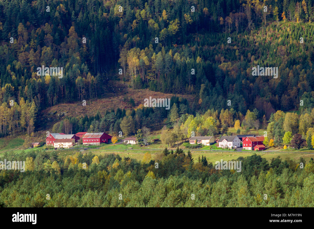 Paesaggio della Norvegia centrale midland con basse montagne coperte dalla foresta. Evje, medio della Norvegia. Foto Stock