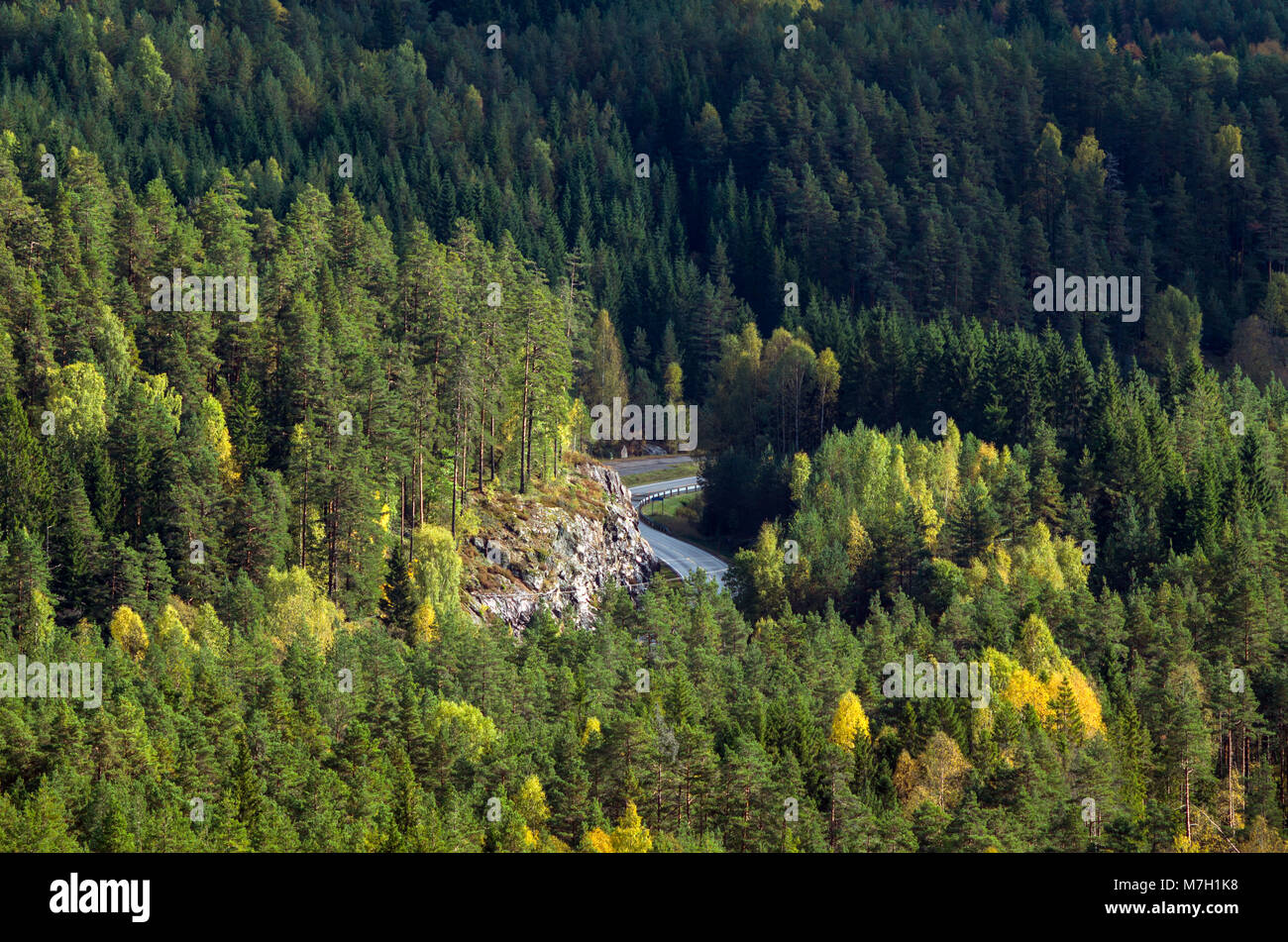 Fv42- strada locale che conduce dal Evje a Oslo, Norvegia. Foto Stock