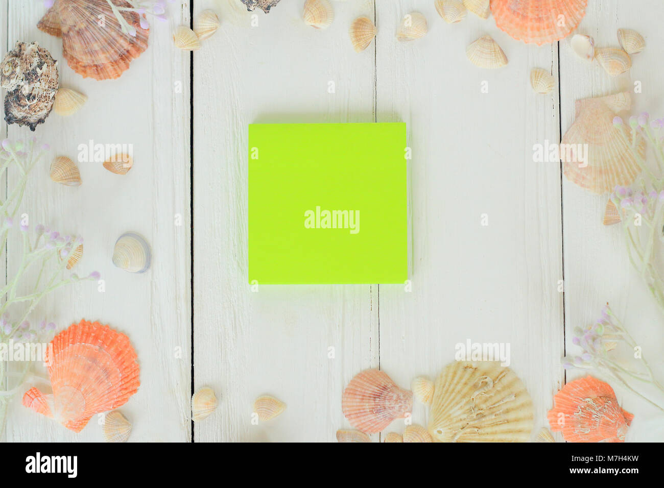 Green foglio bianco e conchiglie su sfondo di legno.sfondo di viaggio Foto Stock