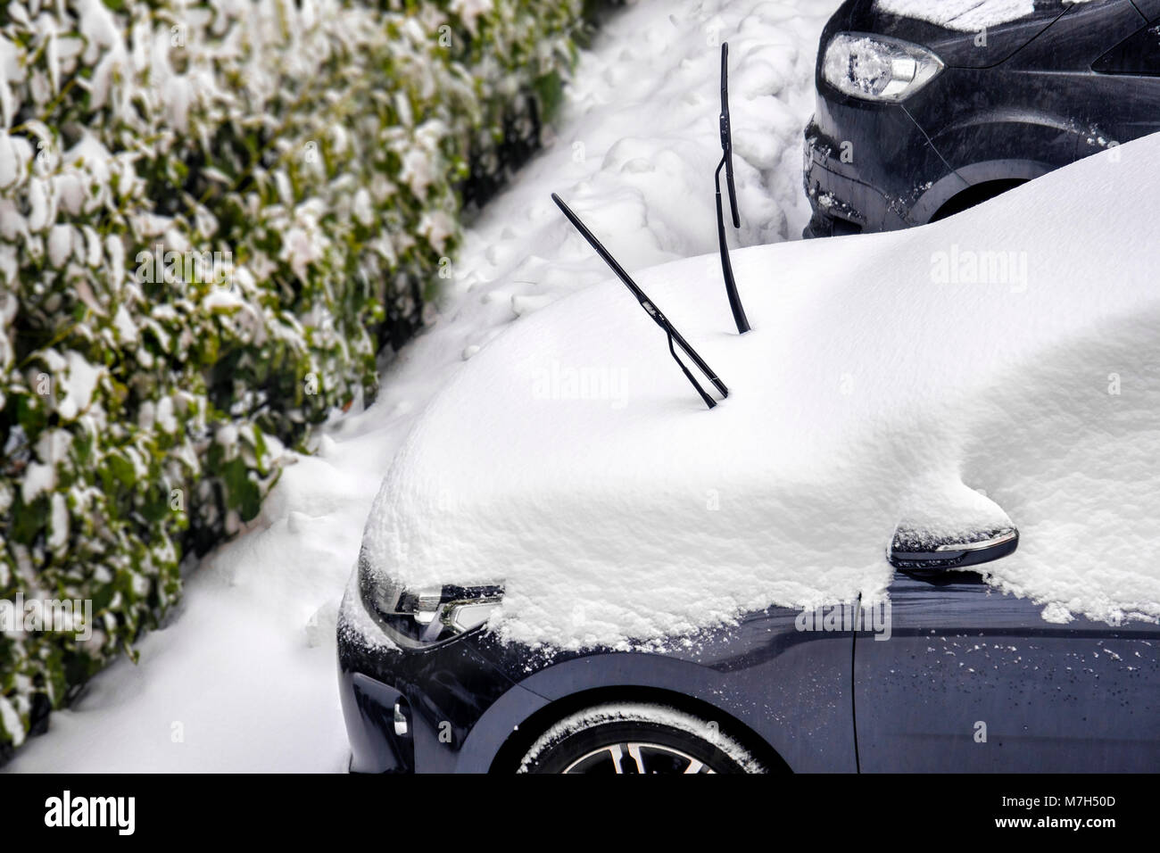 Tergivetro anteriore neve impediscono la raschiatura tergicristalli Foto Stock