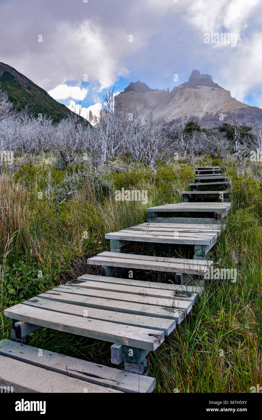 Cuerno Principal e la Valle Frances, Parco Nazionale Torres del Paine. Patagonia, Cile Foto Stock