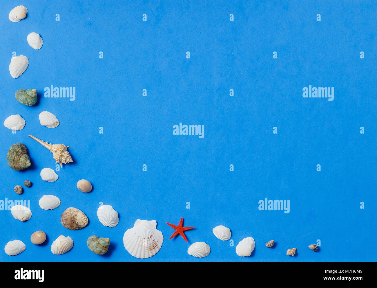 Seashells piatto modello laici su sfondo blu, vacanza mare sfondo con copia spazio, vista dall'alto. Foto Stock