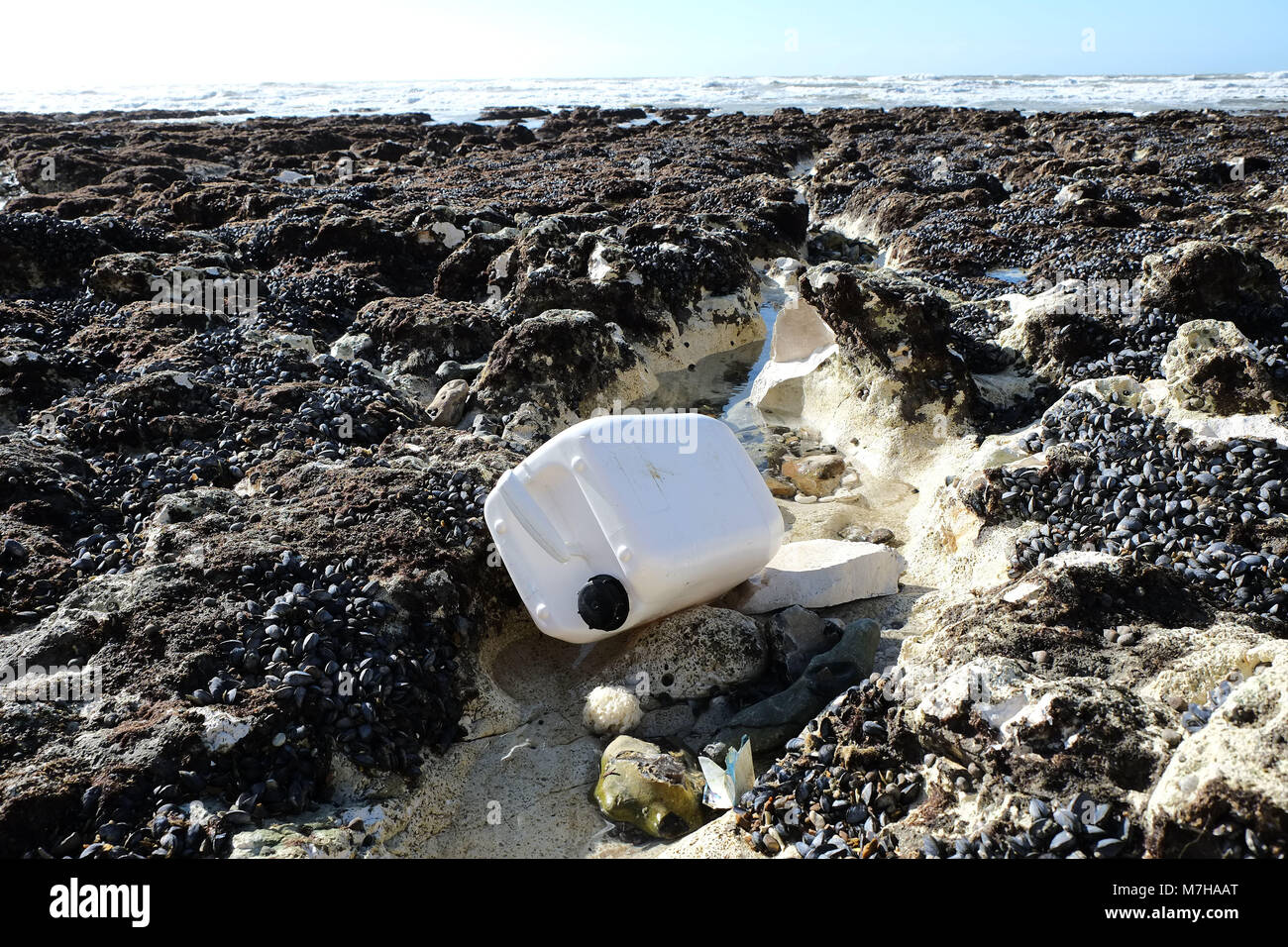 Grande tamburo di plastica lavati su per la spiaggia di Ovingdean vicino a Brighton East Sussex. Foto Stock