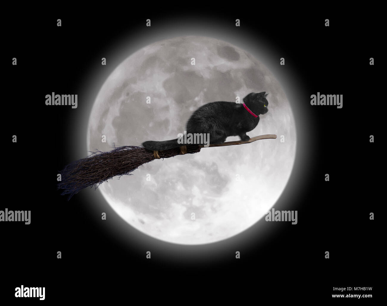 Gatto nero su una scopa passando la luna piena Foto Stock