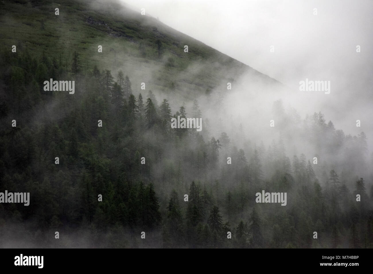 Attraversando il Verkhoïansk mountain range con il maltempo. Qui la Kolyma highway segue il fiume Khandiga. Foto Stock