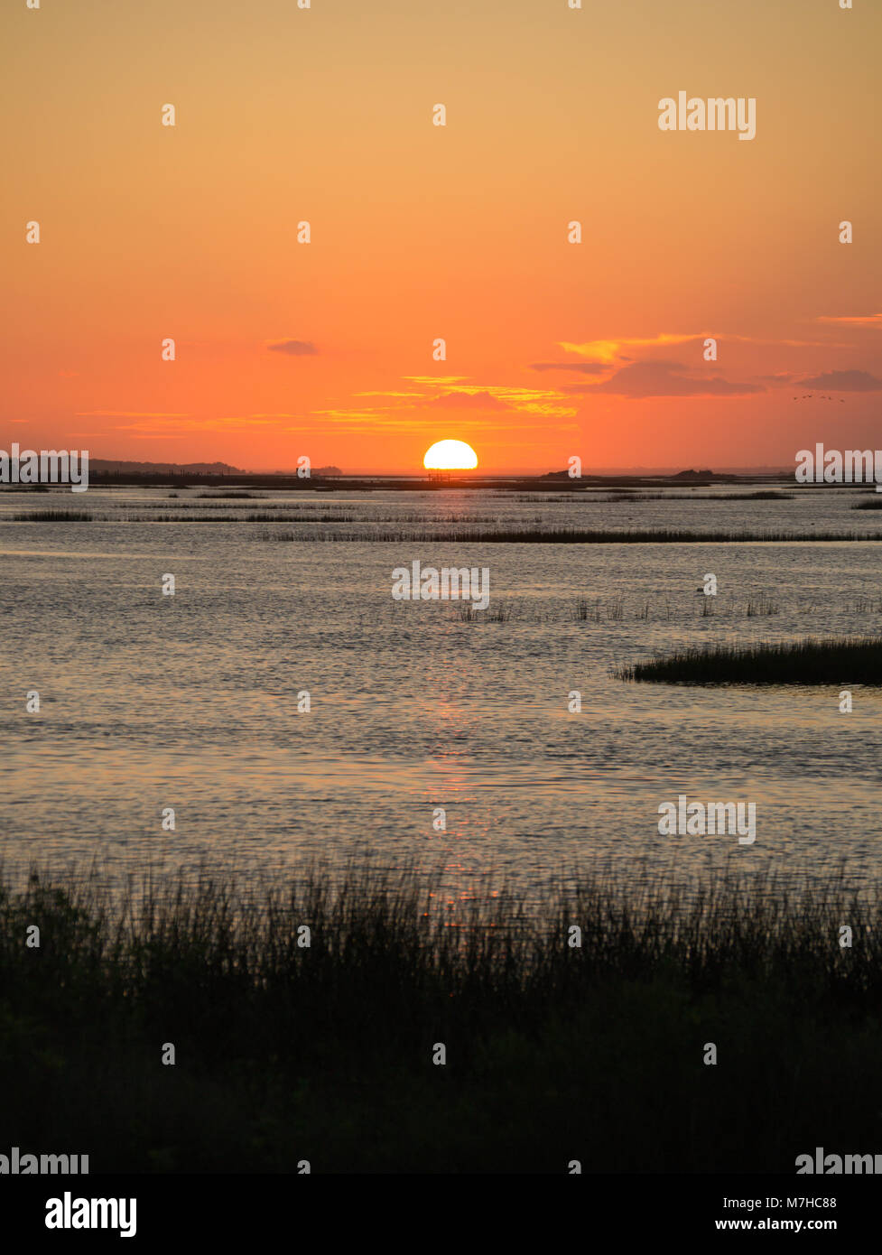 La vita in spiaggia con tramonti e la pesca. Trovato sulla costa di cristallo, Carolina del Nord, Isola di Smeraldo e boghe Suono. Bellissima e tranquilla. vacanza, la vita Foto Stock