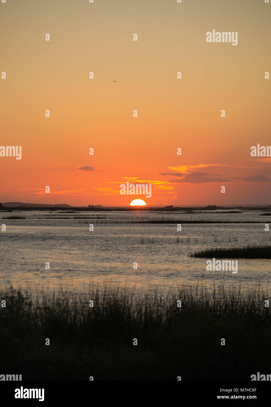 La vita in spiaggia con tramonti e la pesca. Trovato sulla costa di cristallo, Carolina del Nord, Isola di Smeraldo e boghe Suono. Bellissima e tranquilla. vacanza, la vita Foto Stock