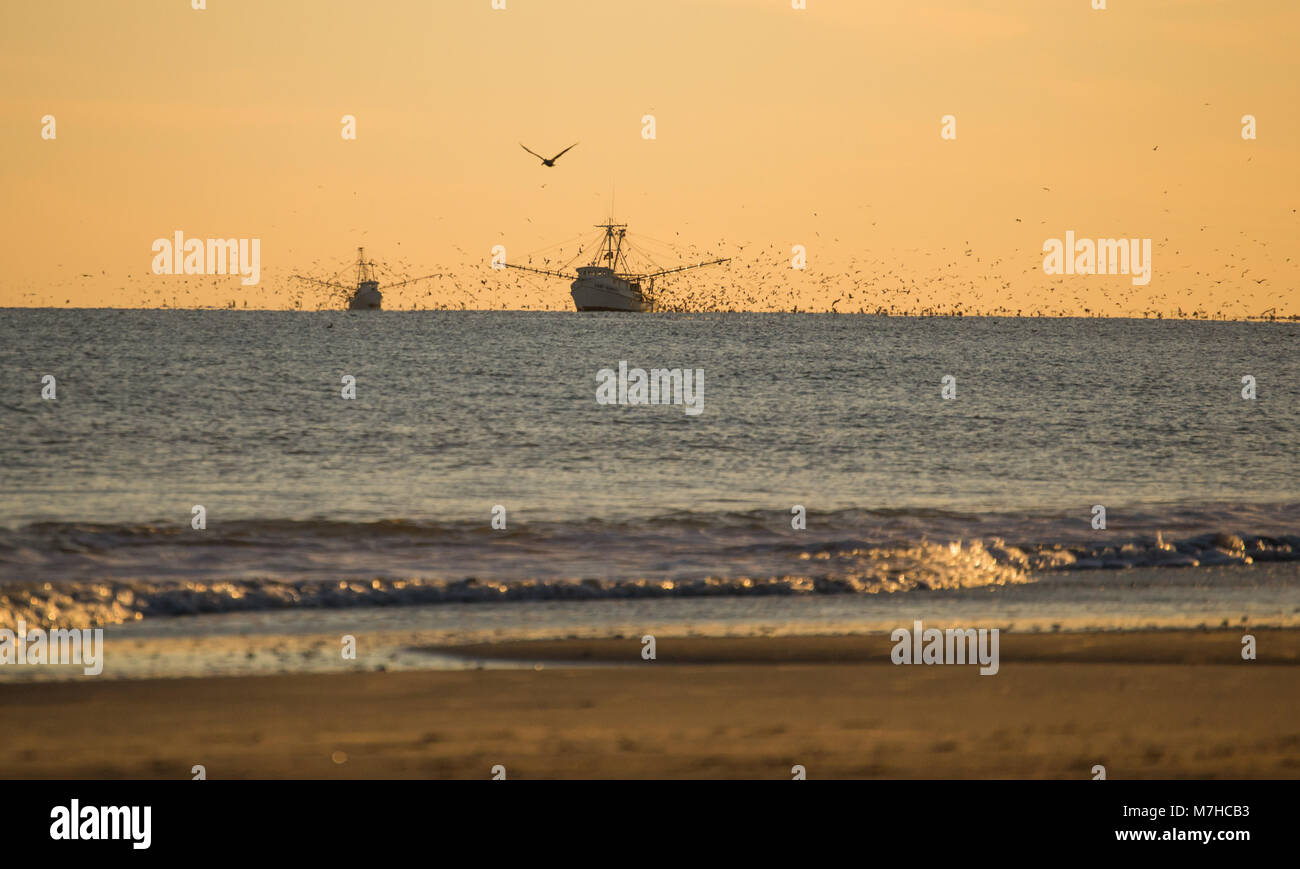 La vita in spiaggia con tramonti e la pesca. Trovato sulla costa di cristallo, Carolina del Nord, Isola di Smeraldo e boghe Suono. Bellissima e tranquilla. vacanza, la vita Foto Stock