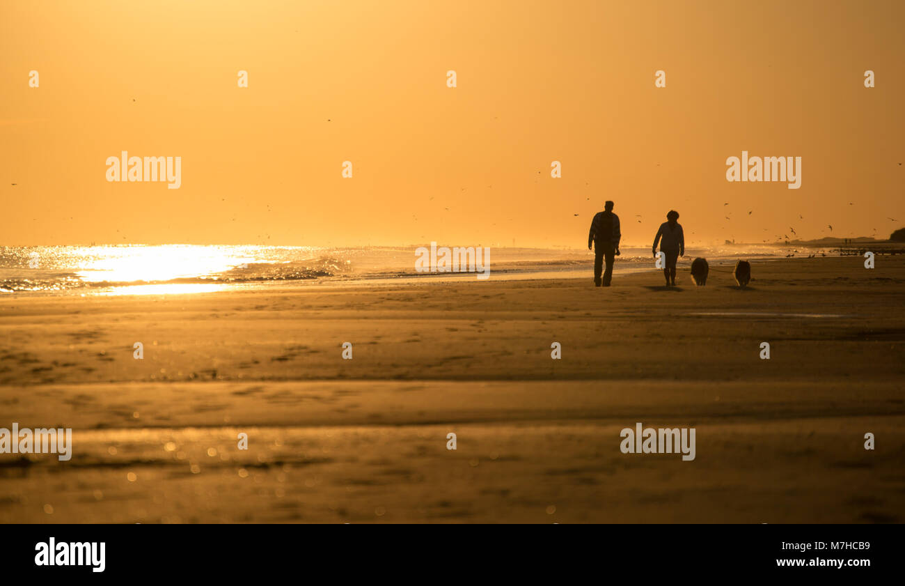 La vita in spiaggia con tramonti e la pesca. Trovato sulla costa di cristallo, Carolina del Nord, Isola di Smeraldo e boghe Suono. Bellissima e tranquilla. vacanza, la vita Foto Stock