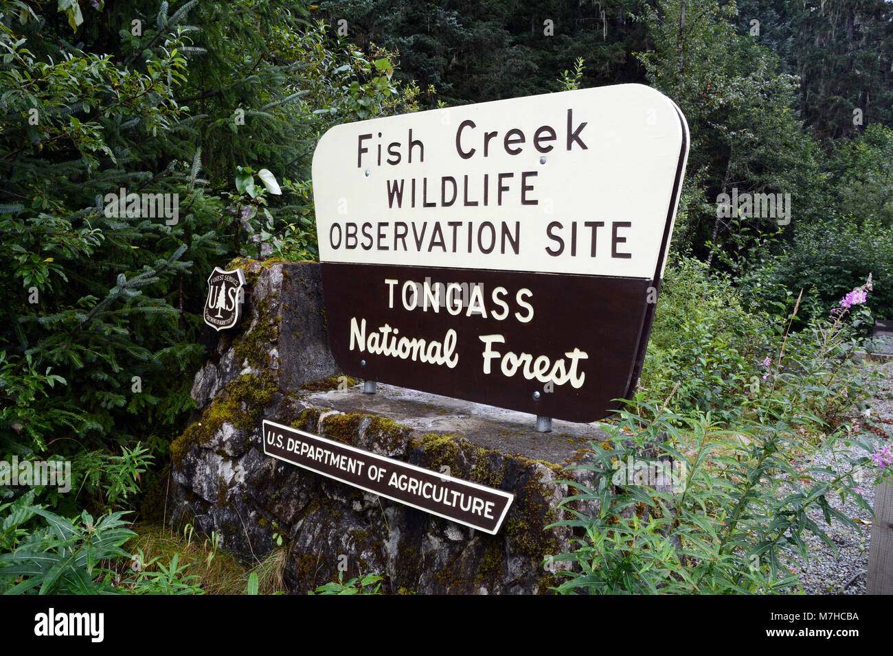 Un cartello stradale presso il pesce Creek Wildlife sito di osservazione, un orso pubblico piattaforma di osservazione, in Tongass National Forest, vicino Hyder, Alaska. Foto Stock