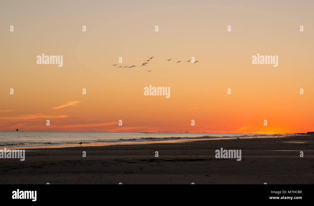 La vita in spiaggia con tramonti e la pesca. Trovato sulla costa di cristallo, Carolina del Nord, Isola di Smeraldo e boghe Suono. Bellissima e tranquilla. vacanza, la vita Foto Stock