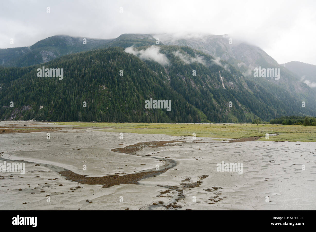 La bassa marea e tidal flats in testa al Portland Canal separando il Canada e gli Stati Uniti, a Hyder, Alaska e Stewart, British Columbia. Foto Stock