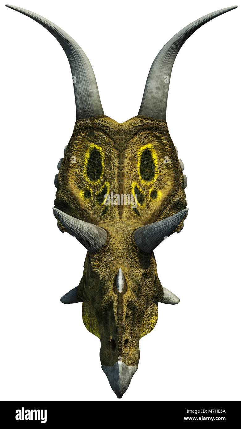 Una vista di testa di Diabloceratops dal tardo Cretaceo. Foto Stock
