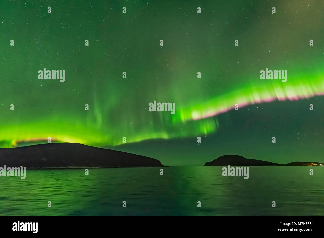 Le luci del nord con le tende rosa, Norvegia. Foto Stock