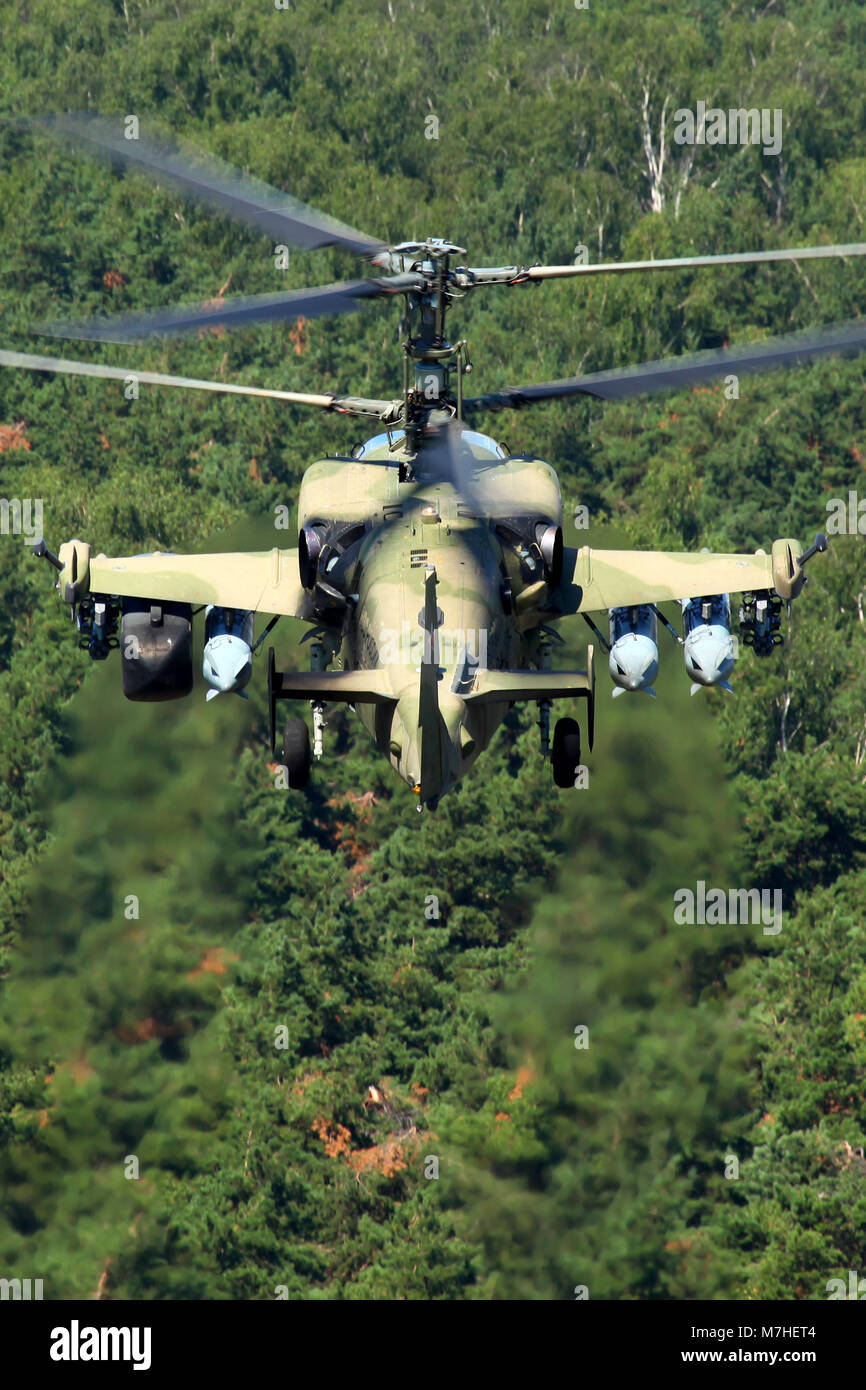 Ka-52 Alligator elicottero d'assalto dell'esercito dell'aria russa volare sopra le cime degli alberi. Foto Stock
