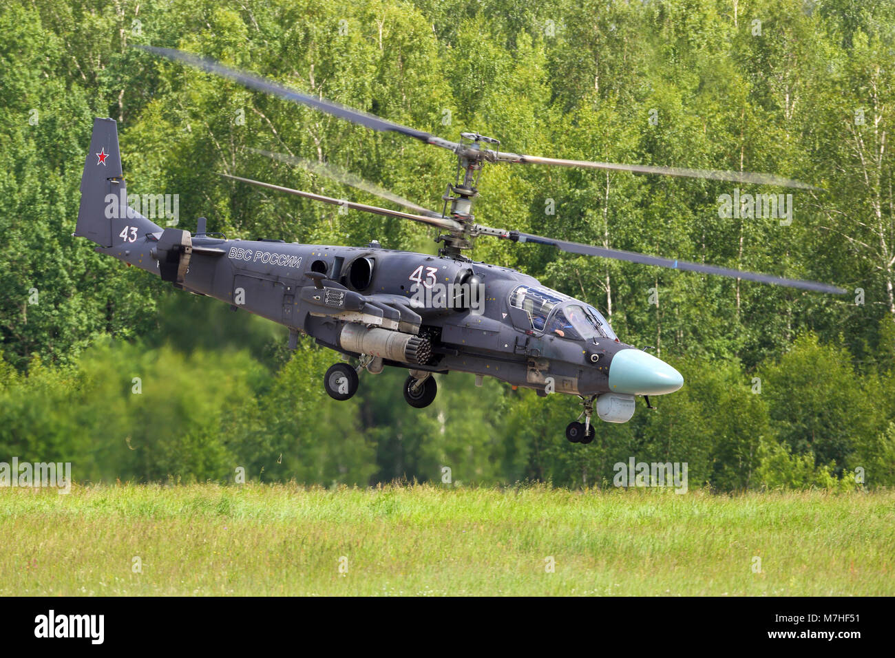 Ka-52 Alligator attacco elicottero russo di Air Force Foto Stock