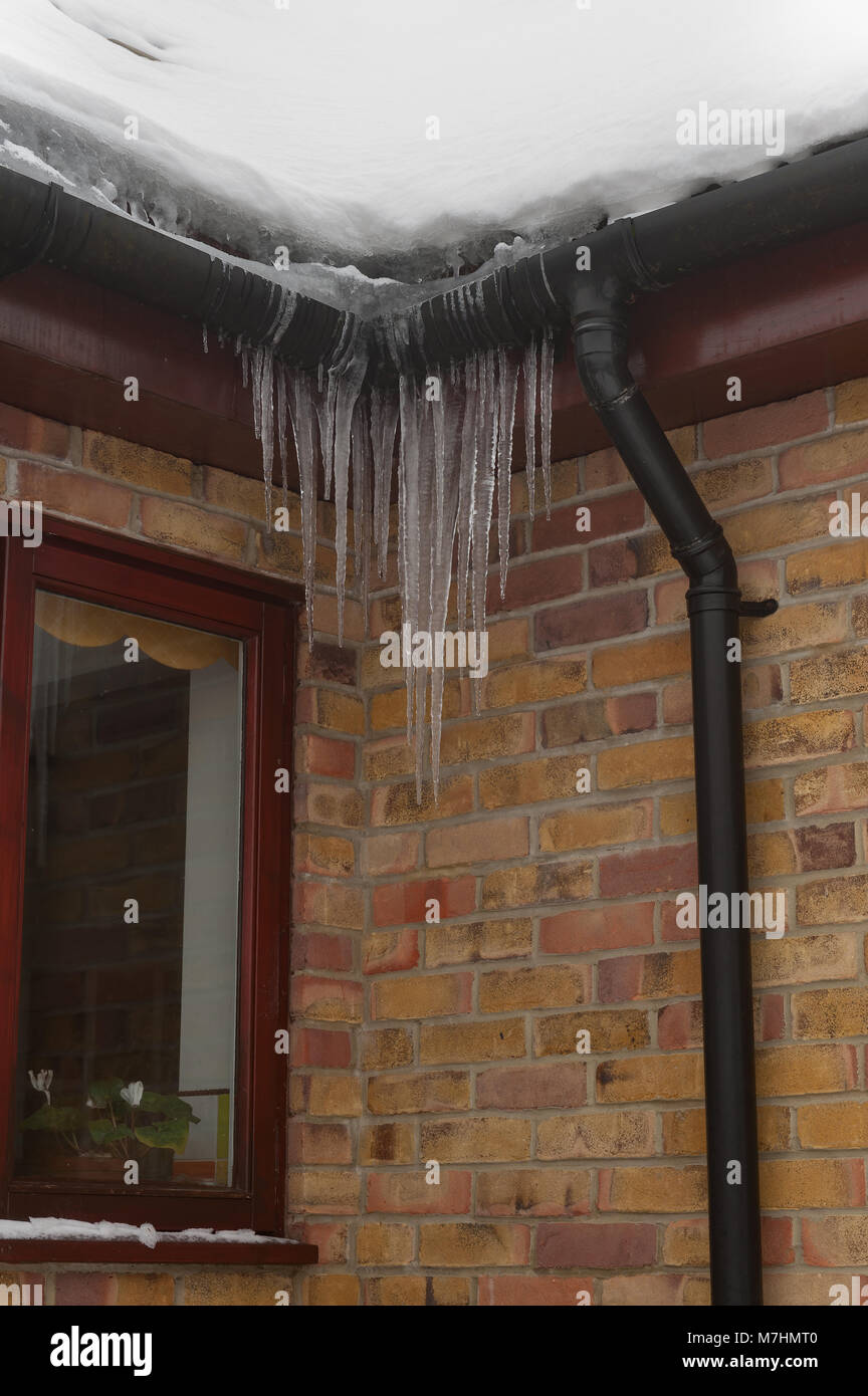 Leggero riscaldamento del tetto della casa e la neve di fusione causando accumuli icicle congelati grondaie e il possibile ingresso di acqua nelle pareti Foto Stock