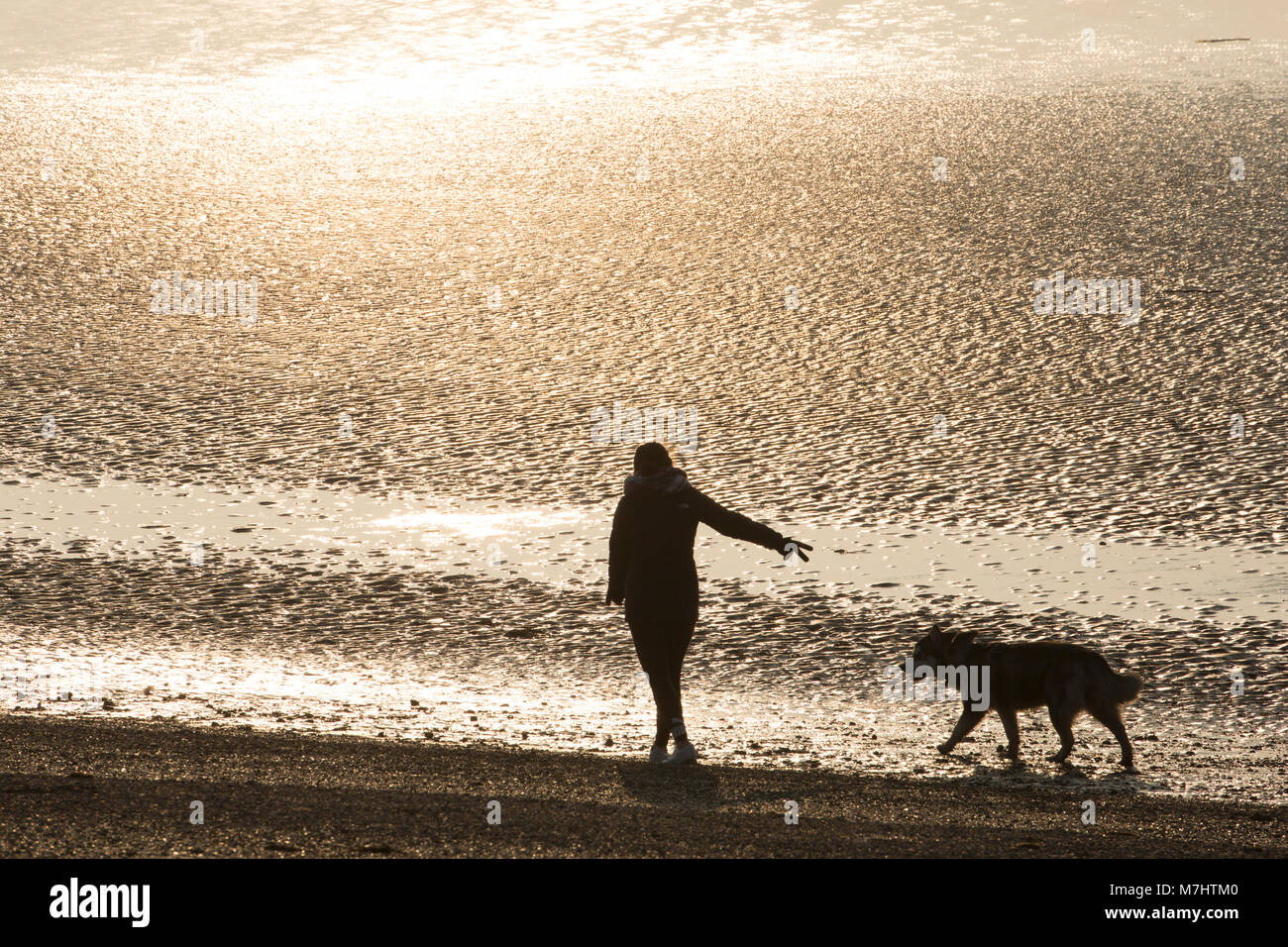 Un dog walker godendo di una tranquilla passeggiata lungo le sabbie al di sotto di Morecambe lungomare a bassa marea nel pomeriggio. Morecambe Lancashire England Regno Unito GB Foto Stock